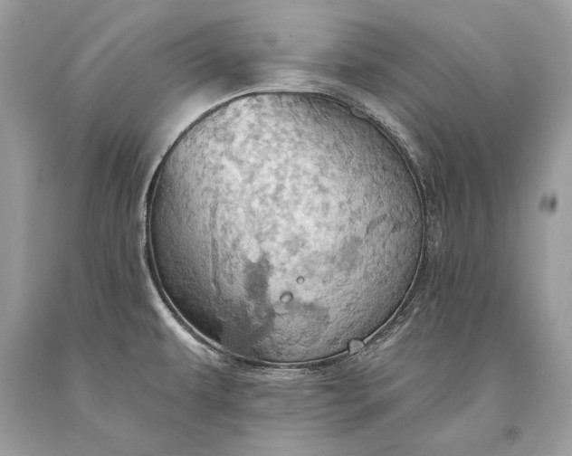 X0000093521479200710261209