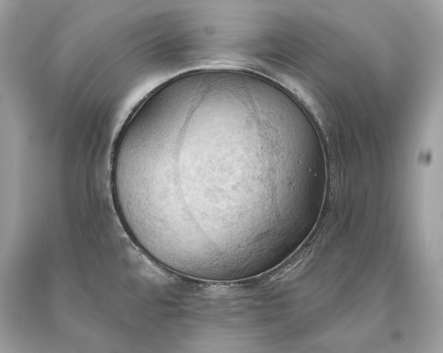 X0000093521480200710261209