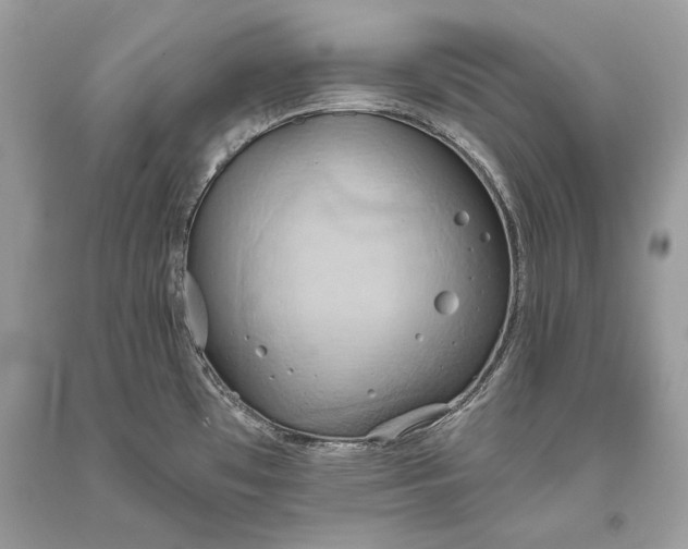 X0000093521481200710261208