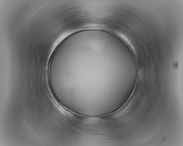 X0000093521482200710261208