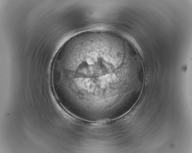 X0000093521483200710261208