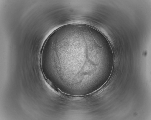 X0000093521484200710261208