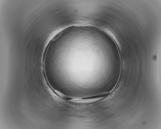 X0000093521485200710261208