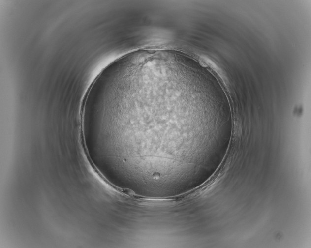 X0000093521487200710261208