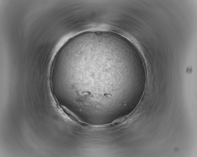 X0000093521488200710261208