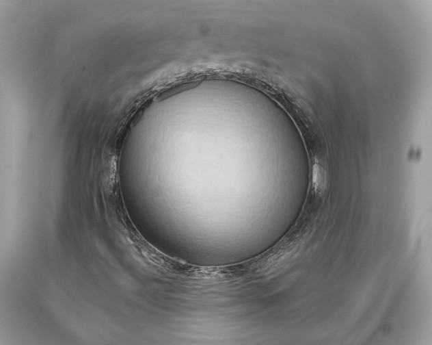 X0000093521492200710261208