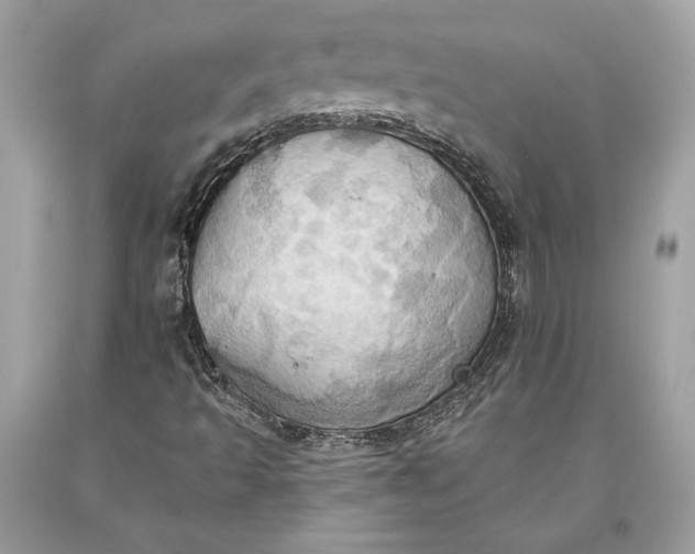 X0000093521493200710261208