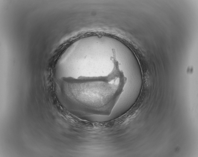 X0000093521494200710261208