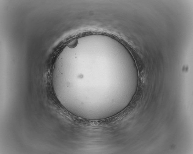 X0000093521495200710261208