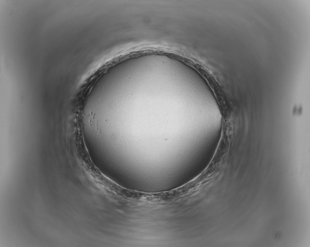 X0000093521496200710261208
