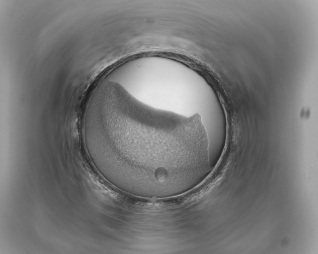 X0000093521497200710261208