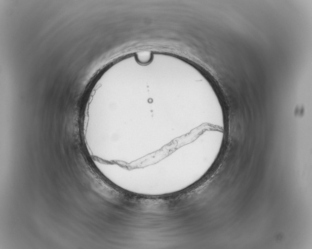 X0000093521498200710261208