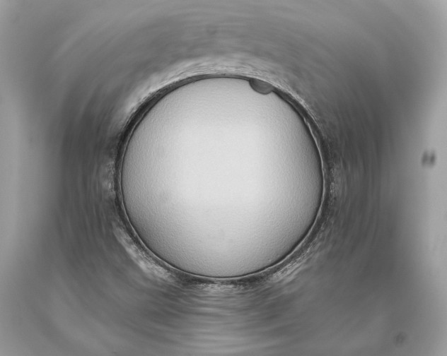 X0000093521499200710261208