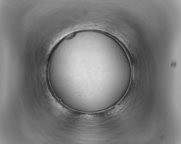 X0000093521500200710261208