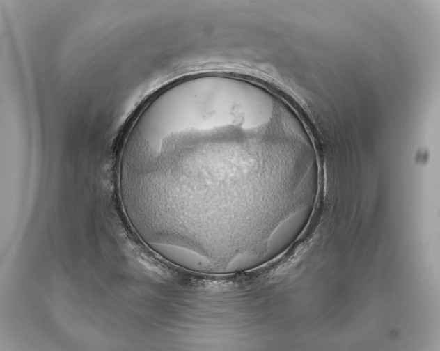 X0000093521501200710261208