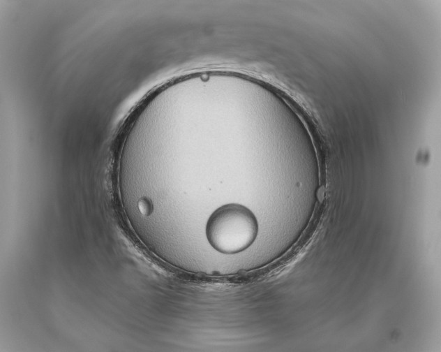 X0000093521502200710261208