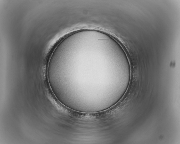 X0000093521503200710261208