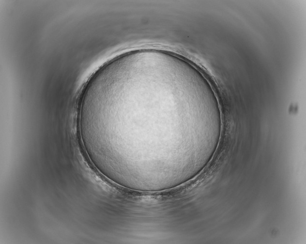 X0000093521504200710261208