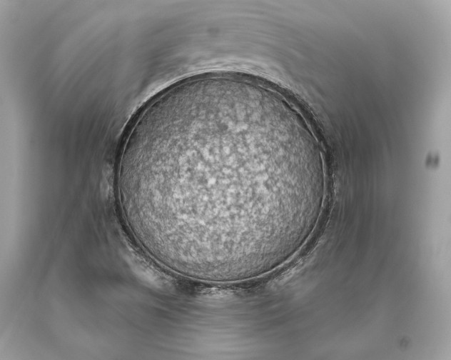 X0000093521505200710261208