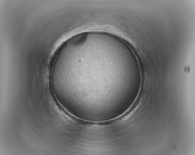 X0000093521506200710261208