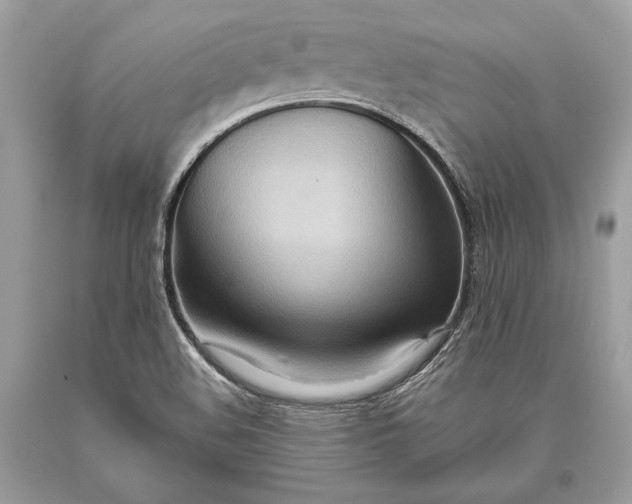 X0000093521508200710261208