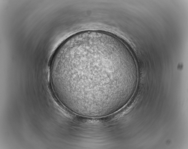 X0000093521509200710261208