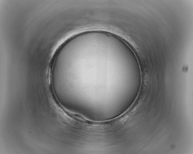 X0000093521510200710261208