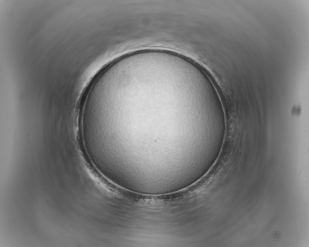 X0000093521511200710261208