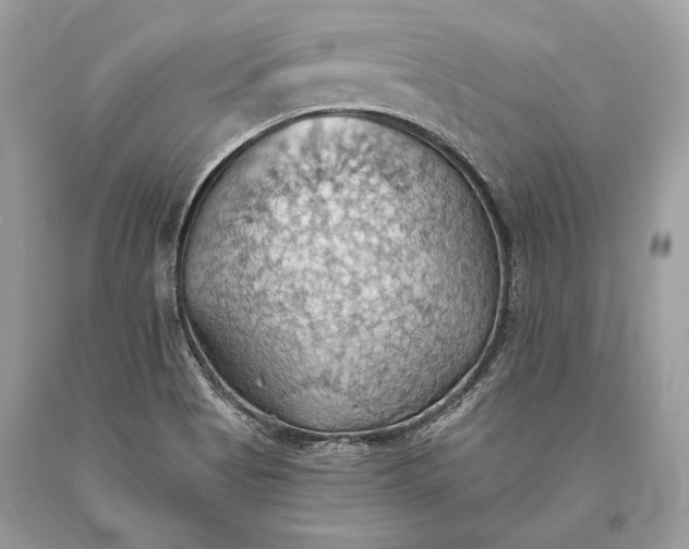 X0000093521513200710261208