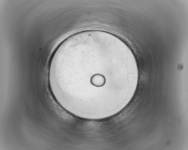 X0000093521514200710261208