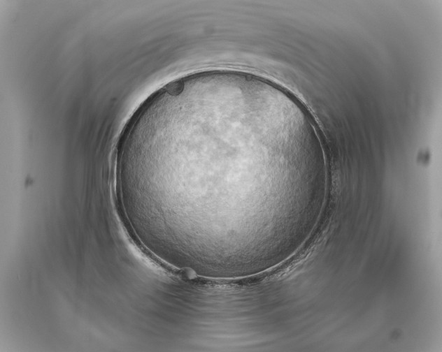 X0000093521515200710261208