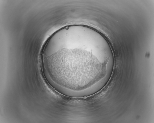 X0000093521517200710261208