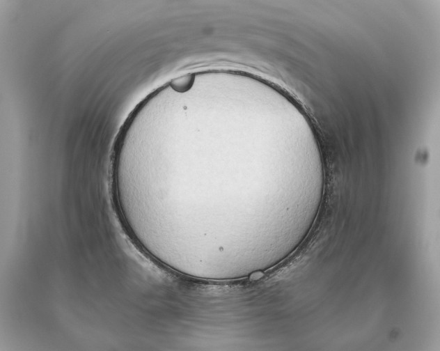 X0000093521518200710261208