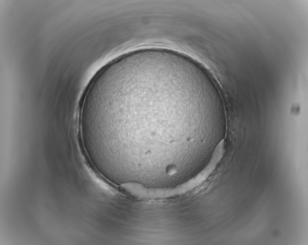 X0000093521519200710261208