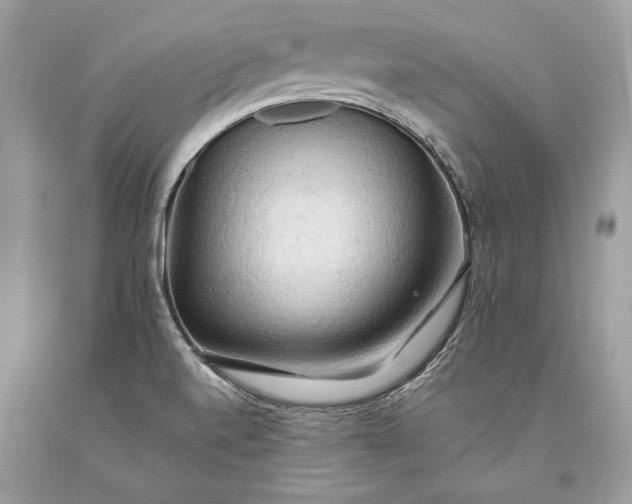 X0000093521520200710261208