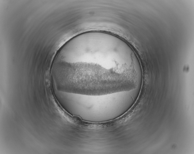 X0000093521521200710261208