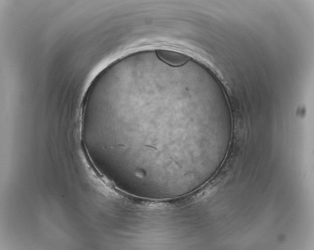 X0000093521522200710261208