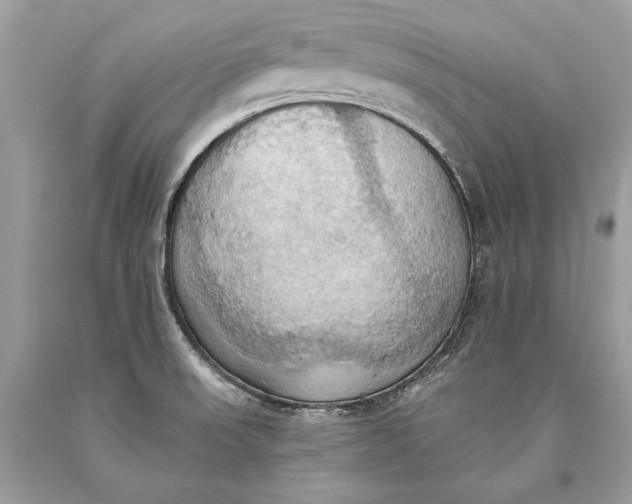 X0000093521523200710261208