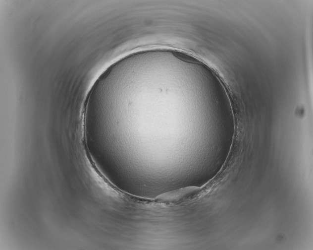 X0000093521524200710261208