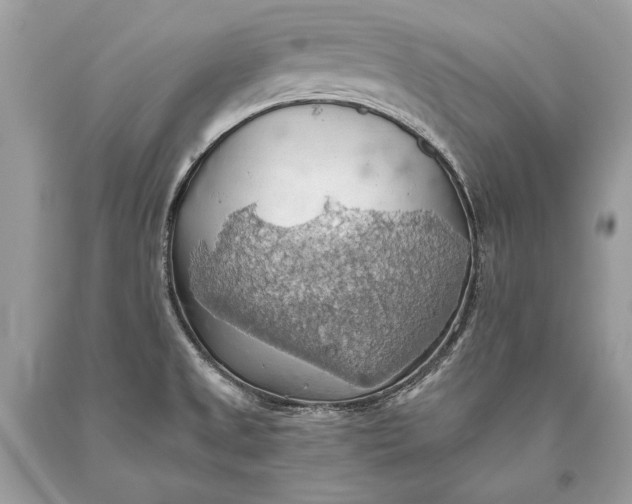 X0000093521525200710261208