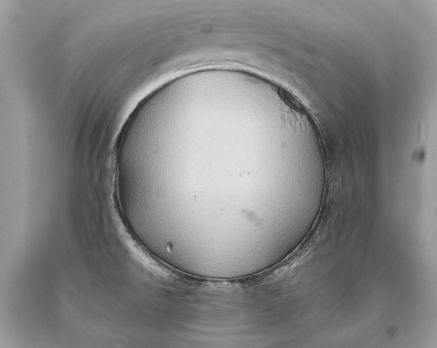 X0000093521526200710261208