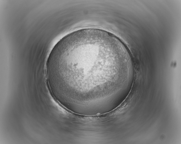 X0000093521527200710261208