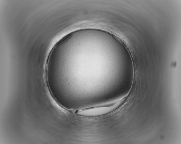 X0000093521528200710261208