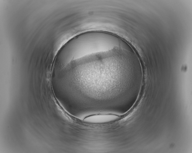 X0000093521529200710261208