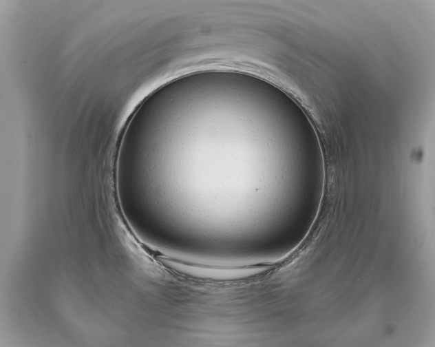 X0000093521530200710261208