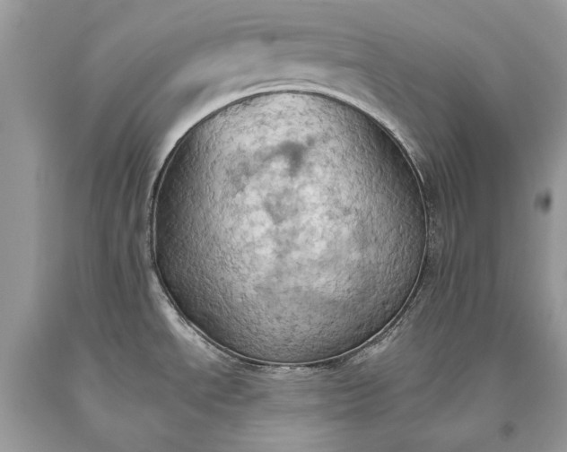 X0000093521534200710261208