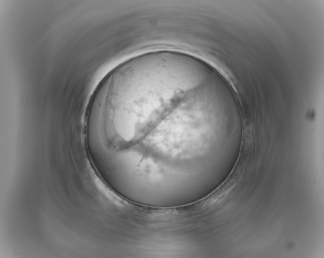 X0000093521535200710261208