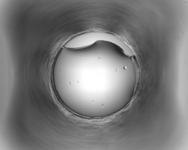 X0000093520001200711021054