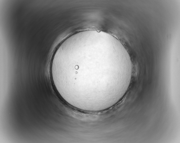 X0000093520004200711021054