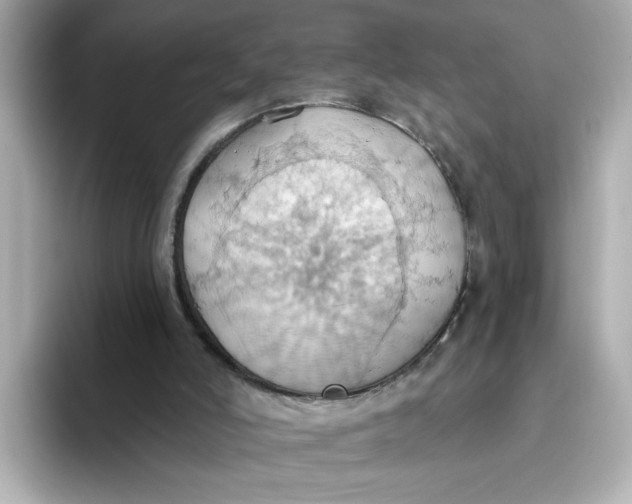 X0000093520006200711021054